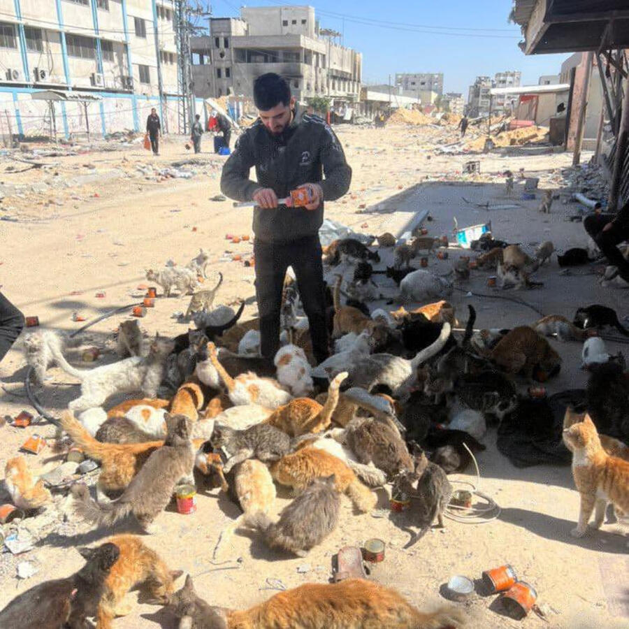 Salam Animal Care Gaza
